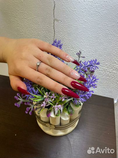 Услуги маникюра и педикюра высокого качества