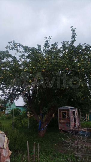 Дом 36 м² на участке 4 сот.