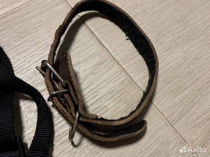 Шлейка для собаки с ошейником