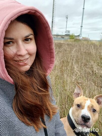 Услуги кинолога