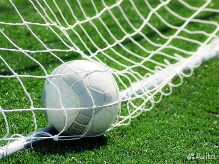 Сетка для ворот