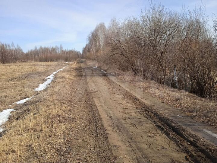 Участок 10 сот. (СНТ, ДНП)