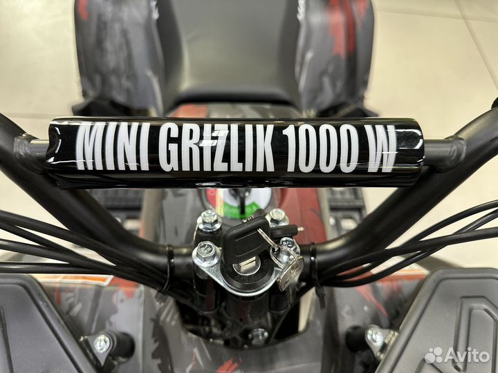 Детский квадроцикл motax Mini Grizlik E1000