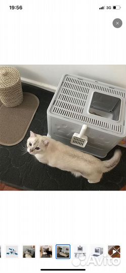 Лоток для кошек закрытый, бу мало