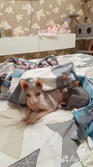 Подработка на дому