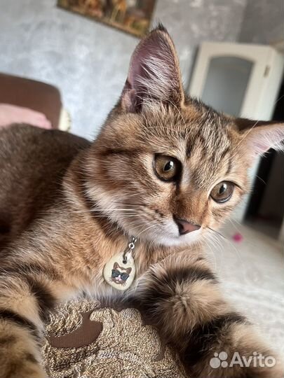 Европейская