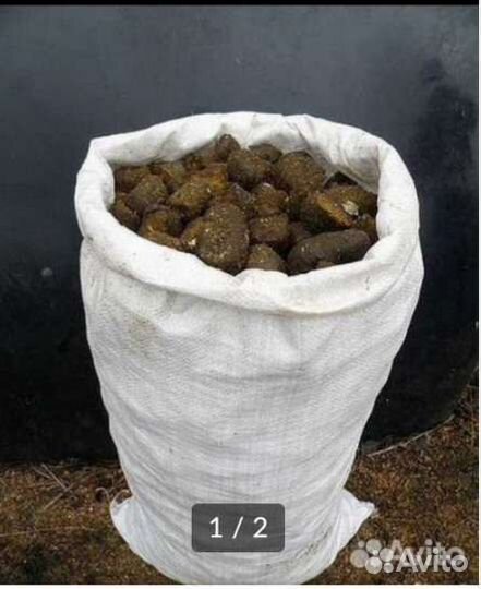 Перегной каровий навоз конский навоз