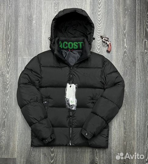 Зимняя куртка lacoste