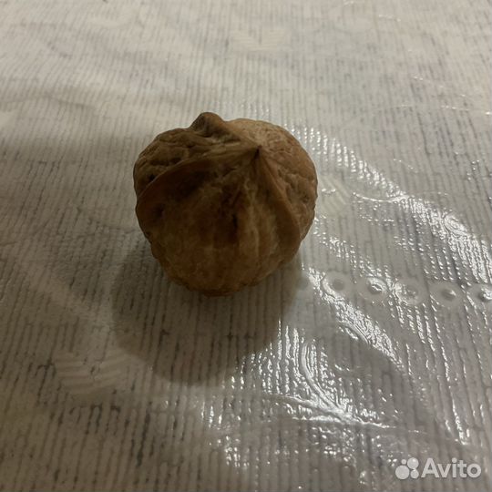 Трехстворчатый орех