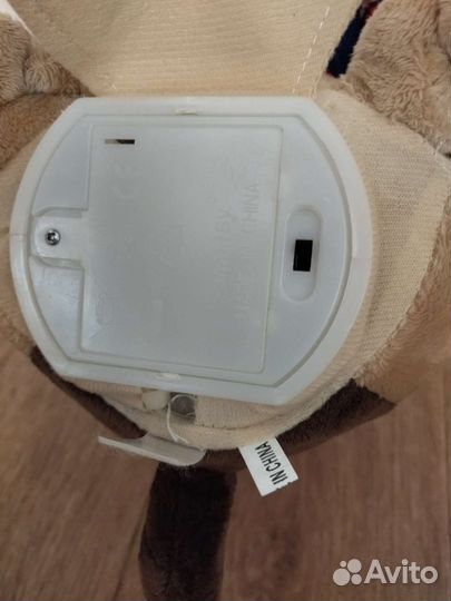 Собака музыкальная, поет и танцует