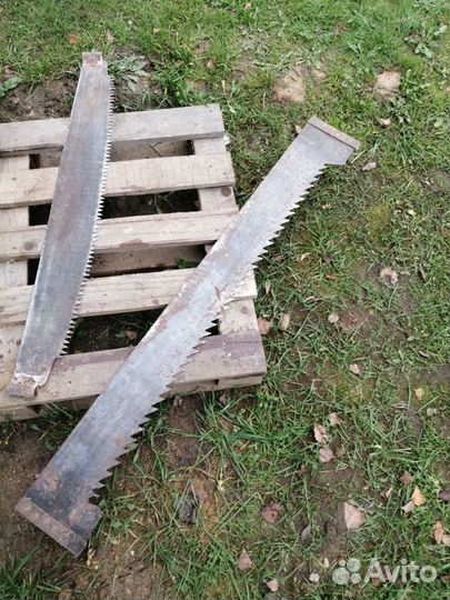 Пила дружба СССР