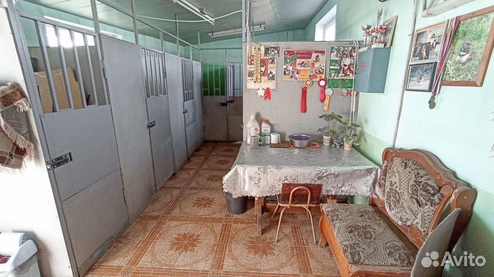 Гостиница для собак