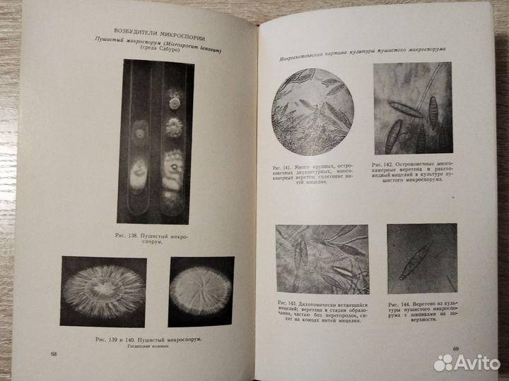 Атлас грибковых заболеваний кожи Ариевич 1951