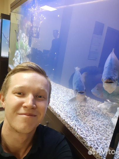 Обслуживание аквариумов