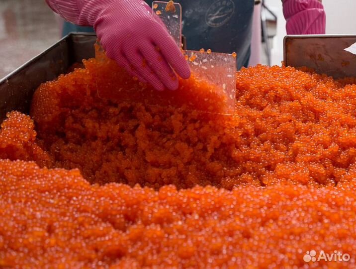 Икра красная август 2023 оптом и мелким оптом