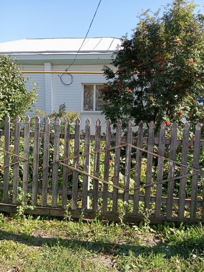 Дом 56 м² на участке 11 сот.