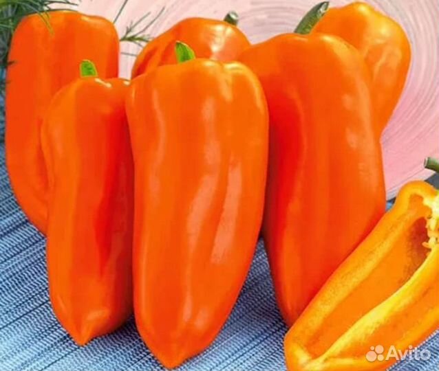 Перец Лисичка семена