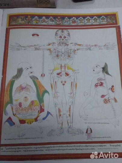 Атлас тибетской медицины