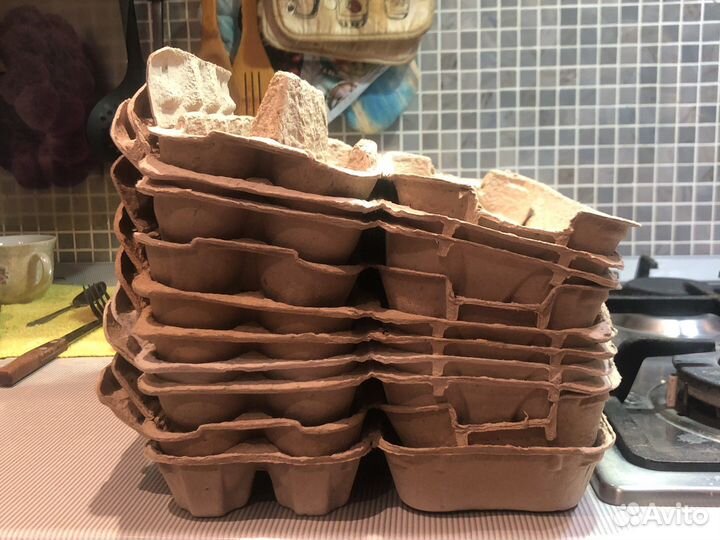 Ячейки для яиц