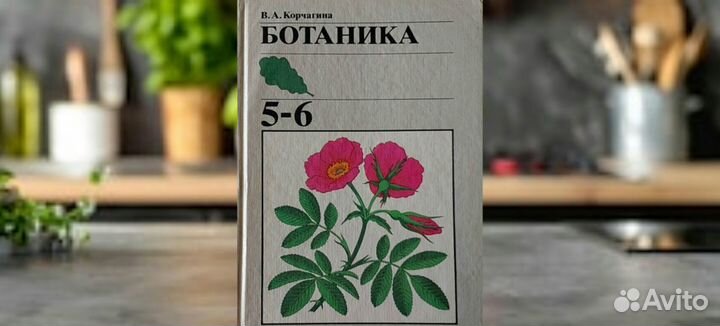 Лучшие школьные учебники / 4-6 класс. СССР