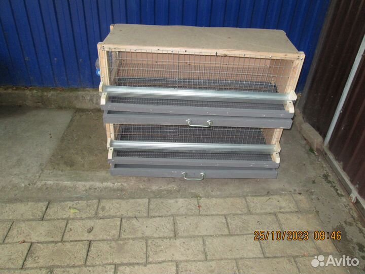 Клетка для перепелов