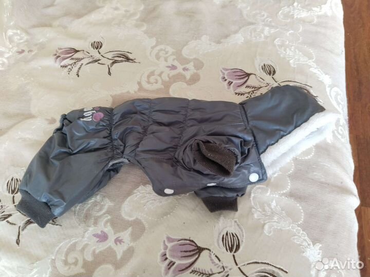 Одежда для собак