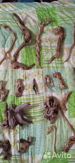 Коряжки дрифтвуд морские