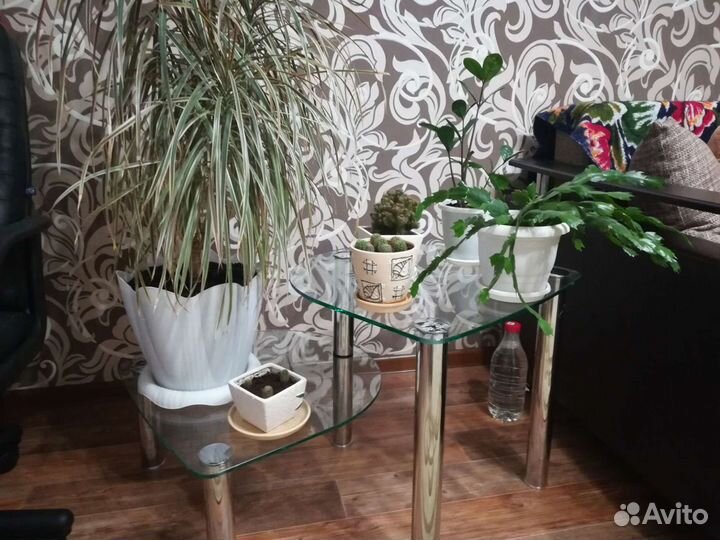 Подставка для цветов из стекла