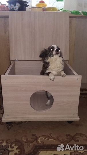 Будка на колесах для вашего питомца