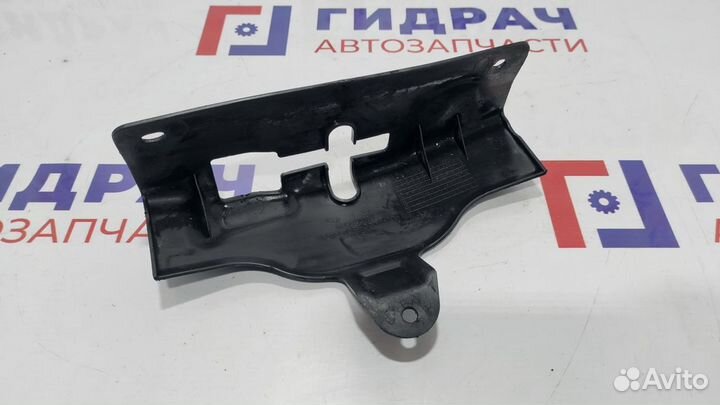 Кожух замка капота Hyundai Sonata EF 811933D000