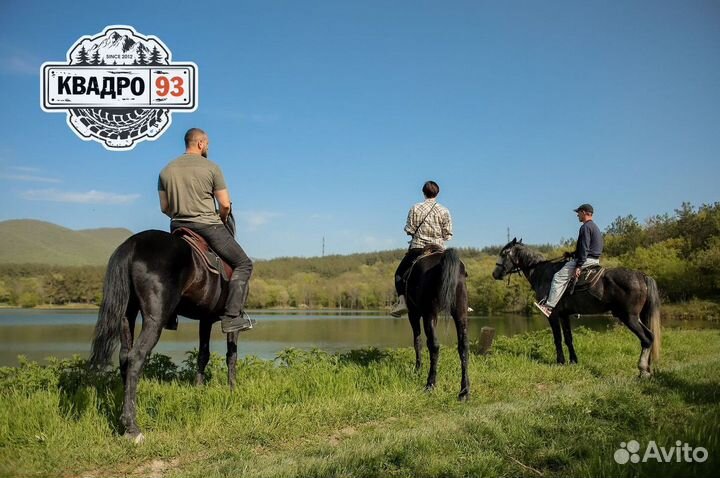 Конные прогулки на лошадях/ катание на лошадях