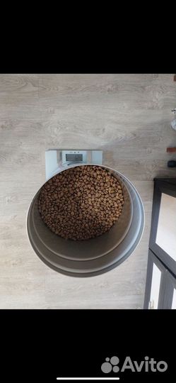 Корм для собак Forza 10 medium diet с ягненком