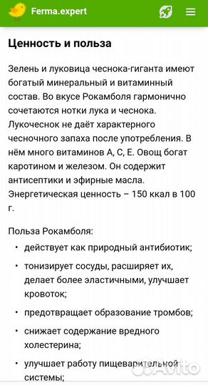 Рокомболь, чеснок