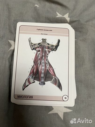 Карточки Сапина по Миологии