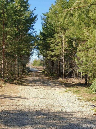 Дом 53,5 м² на участке 10 сот.