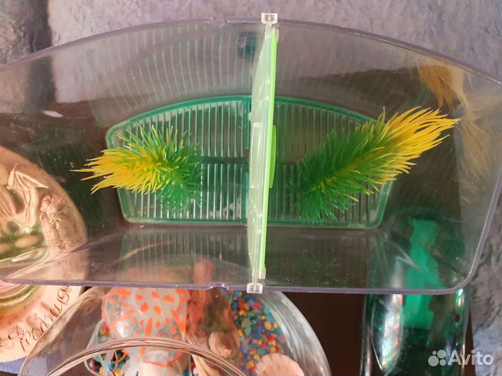 Аквариумы, компрессор и декор