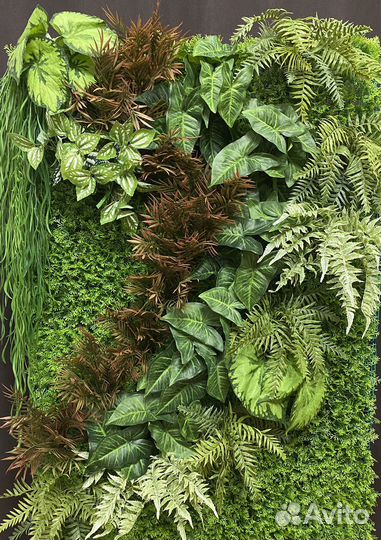 Фитостена фитокартина вертикальное озеленение