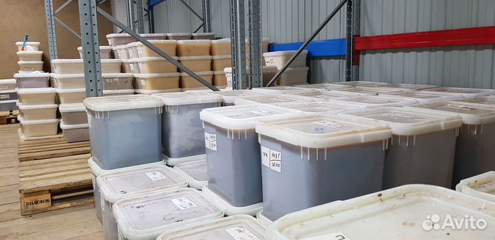 Мёд оптом образцы бесплатно