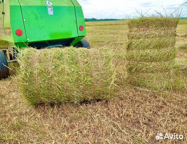 Сено в тюках