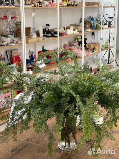 Аренда помещения для мастер-класса