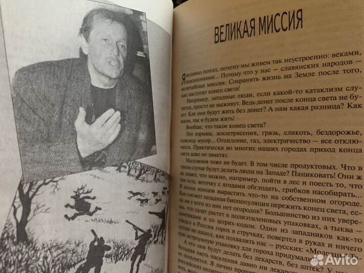 Книга Задорнов, Михаил Этот безумный, безумный, бе