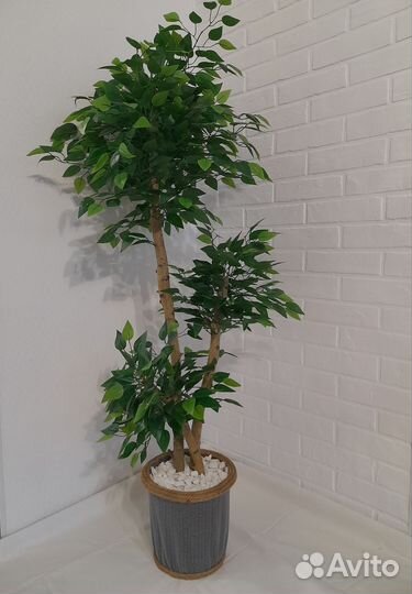 Искуственное растение декоративное дерево фикус