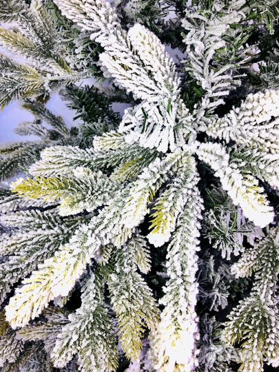 Заснеженная елка