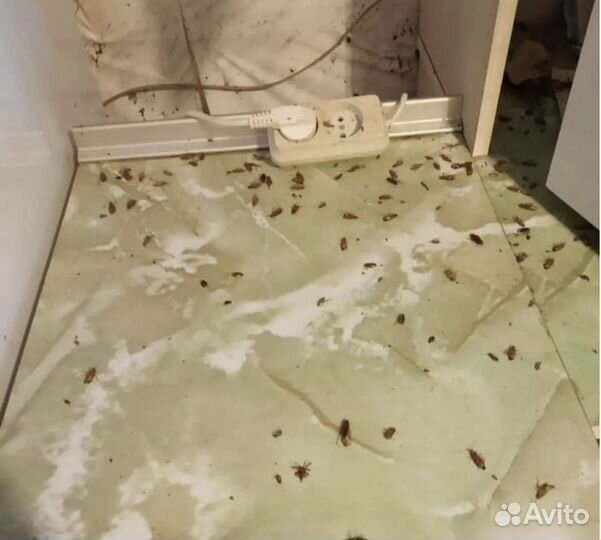 Дезинфекция / дезинсекция / уничтожение насекомых