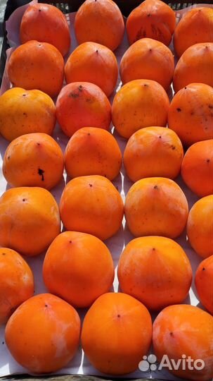 Хурма Бычье сердце