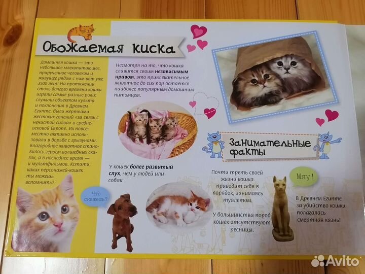 Книга-пазл о котиках новая