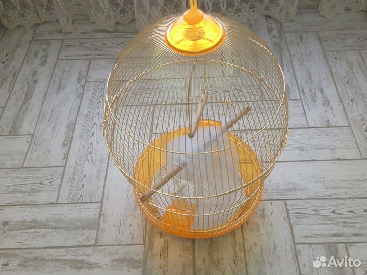 Клетка для. крупного попугая