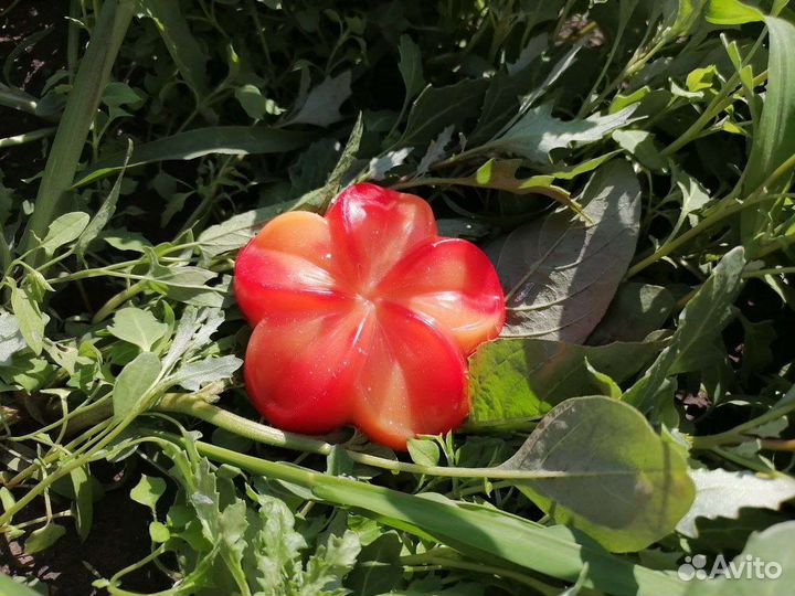 Мыло ручной работы