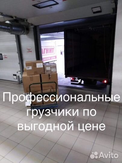 Грузоперевозки Переезды Попутно 5 т от 200 км