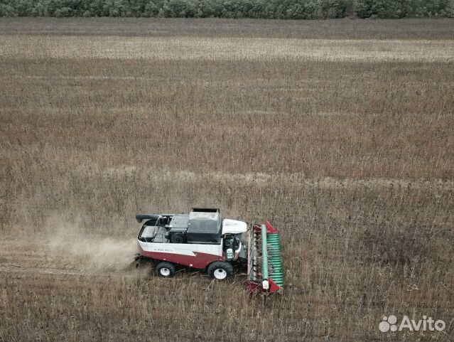 Уборка урожая подсолнечника